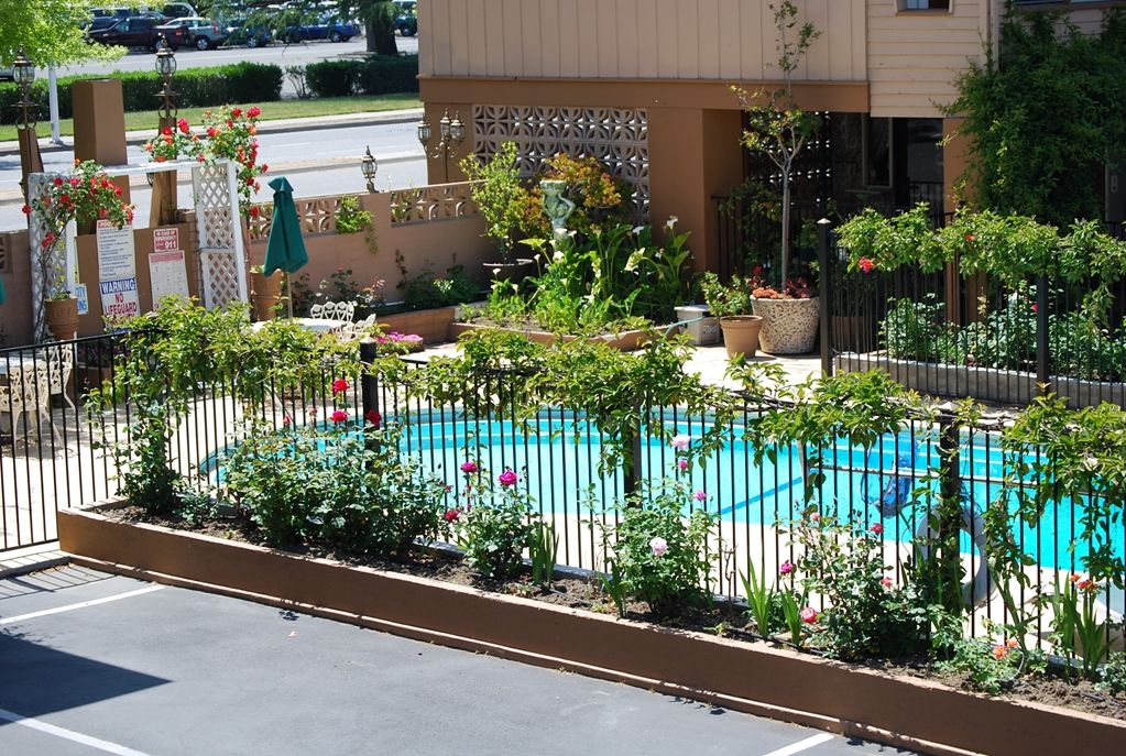 Stanford Motor Inn Palo Alto Létesítmények fotó
